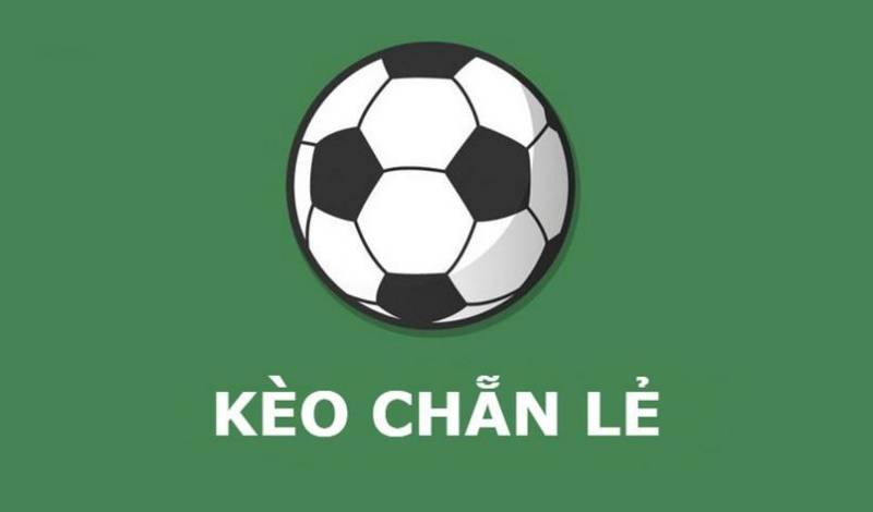 Kèo nhà cái Fund - Tỷ lệ kèo nhà cái 5 hôm nay keonhacai Sprintx bóng đá trực tiếp 24/7 127 Keo Chan Le La Gi Cach Choi Va Meo Danh Bai Nha Cai